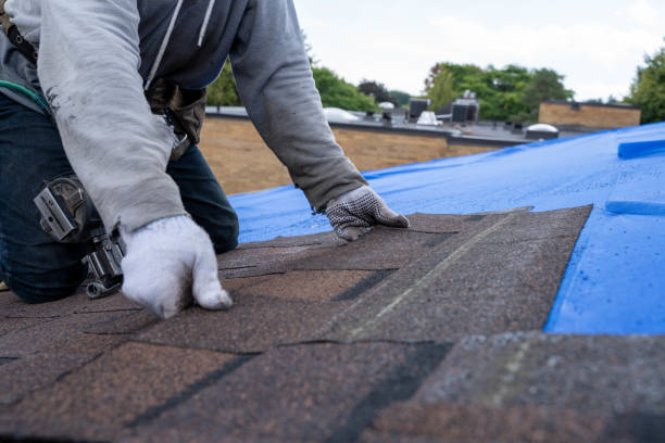 Best Roof Replacement Cost  in Waverly, MI