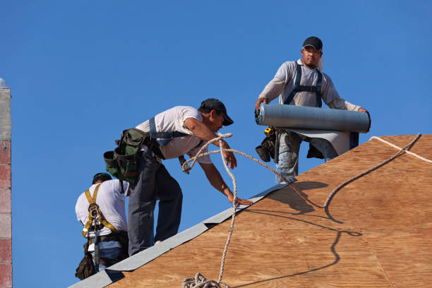 Roof Installation Near Me in Waverly, MI