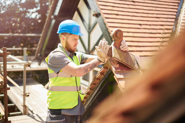 Best Roof Maintenance Services  in Waverly, MI